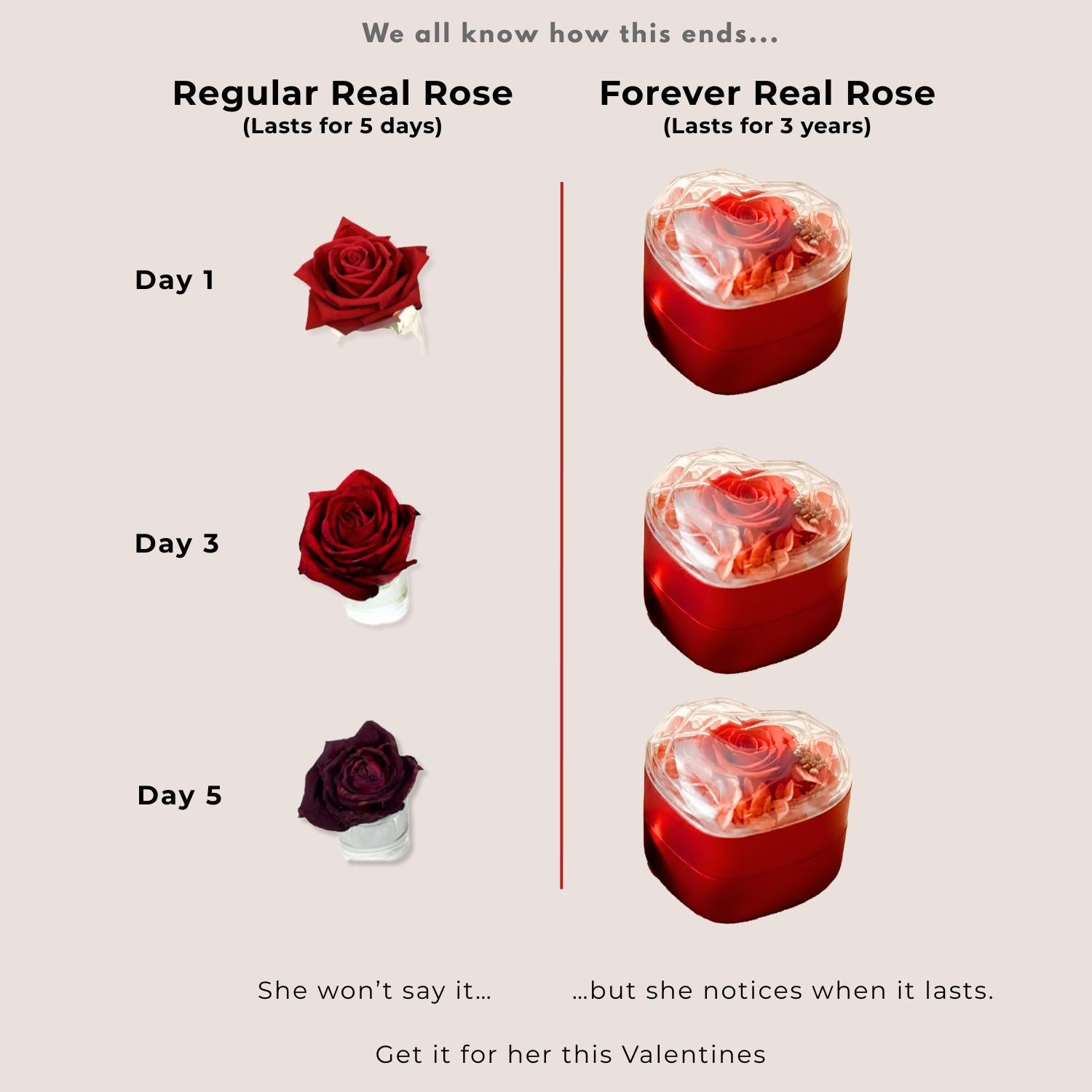 Valentine's Heart Shaped Preserved Rose Jewellery Box