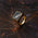 Signet Ring